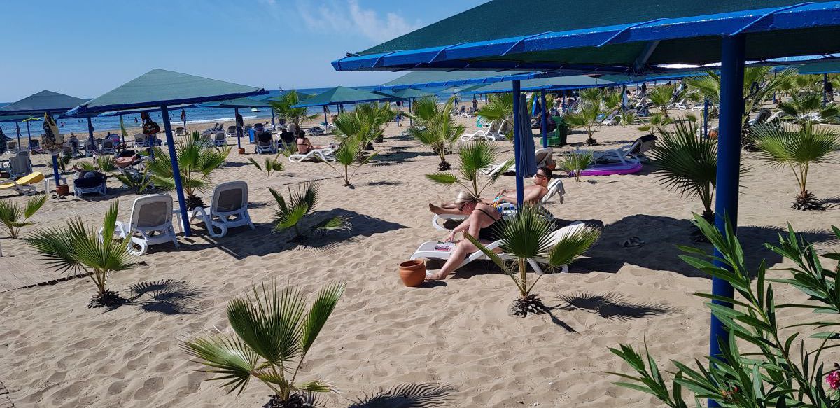 imagini hotel PALOMA OCEANA